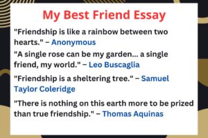 My best friend Essay