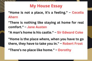 My house essay